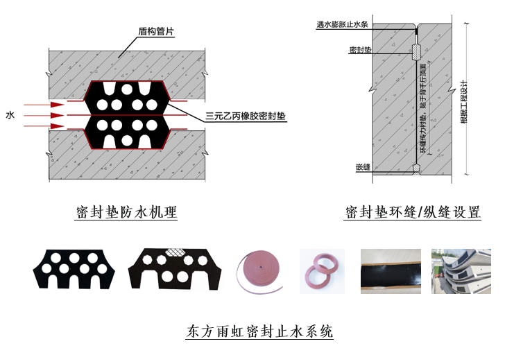 emc易倍·(中国)体育官方网站-EMC SPORTS