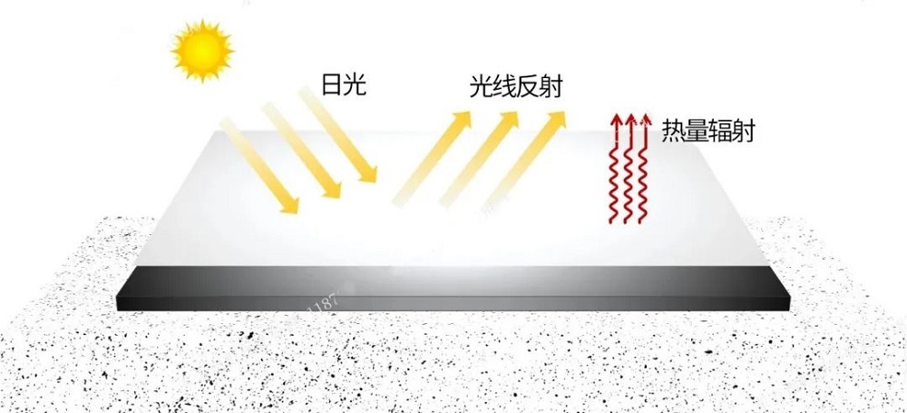 emc易倍·(中国)体育官方网站-EMC SPORTS